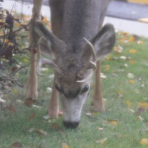 Meet your Posher, Tamarra